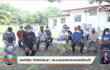 ธุรกิจหนังกลางแปลงวอนปลดล็อก ไร้งาน 3 เดือน แทบล้มละลาย