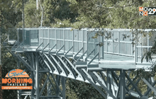 เปิดเส้นทางเดินชมธรรมชาติ “Canopy Walkway”