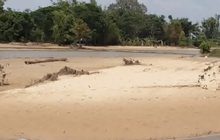 กองทรายทับถมนาข้าว หลังน้ำลด