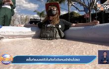 สตั๊นท์แมนแช่ตัวในถังถั่วดึงคนเข้าร้านโปรด
