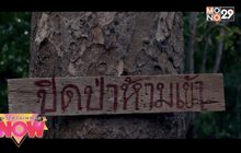 หนังผีของคนชอบลองดี “Who ปิดป่าหลอน”