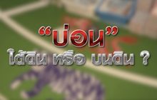 “บ่อน” ใต้ดิน หรือ บนดิน ? 15-01-64
