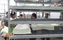 ต่อยอดงานวิจัยเพิ่มมูลค่าหมอนยางพาราส่งออก