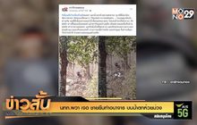 นทท.ผวา เจอ ชายยืนทำอนาจาร บนน้ำตกห้วยม่วง