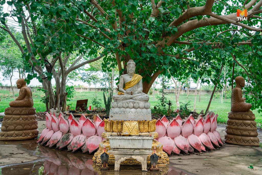 ต้นโพธิ์