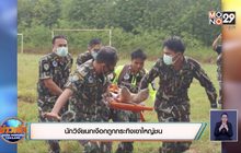 นักวิจัยนกเงือกถูกกระทิงเขาใหญ่ชน
