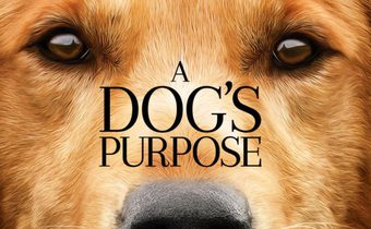 A Dog’s Purpose หมา เป้าหมาย และเด็กชายของผม