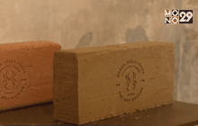 พิพิธภัณฑ์ศิลปะจากมูลสัตว์