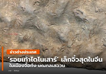 เสฉวนพบ ‘รอยเท้าไดโนเสาร์’ เล็กจิ๋วสุดในจีน