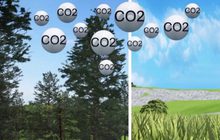 แนวทางปฏิบัติเพื่อให้รอดพ้นจากวิกฤตโลกร้อน