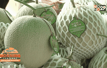 ธ.ก.ส.สนับสนุนสินเชื่อ เอสเอ็มอี เกษตร