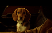 “คีอานู รีฟส์” ยืนยัน John Wick 2 จะไม่เห็นหมาน้อยต้องเจ็บตัว!