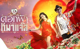 ดอกฟ้า หมาแจ๊ส Jazz the Dog
