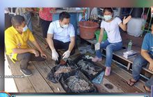 พบเข็มฉีดยา 500 เข็ม ถูกทิ้งทะเลสัตหีบ