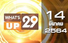 What’s up 29 14-03-64