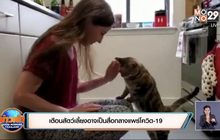​เตือนสัตว์เลี้ยงอาจเป็นสื่อกลางแพร่โควิด-19