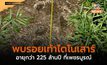 พบรอยเท้าไดโนเสาร์แห่งใหม่ในไทย อายุกว่า 225 ล้านปี ที่เพชรบูรณ์