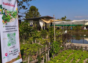 ถอดบทเรียน 4 ปี Chiang Mai Greentopia ต้นแบบเมืองอาหารปลอดภัย-สุขภาวะยั่งยืน