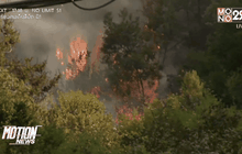 ไฟป่าในชิลี