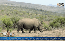 แอฟริกาใต้ใช้โดรนจัดการนักล่าสัตว์