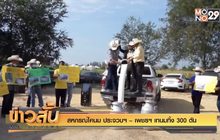 สหกรณ์โคนม ประจวบฯ – เพชรฯ เทนมทิ้ง 300 ตัน