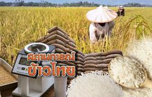 สถานการณ์ข้าวไทย 26-11-61