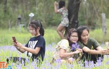 แหล่งท่องเที่ยวแห่งใหม่ภาคอีสาน