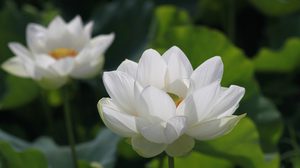 ปฏิทินวันพระ 2563 เดือนกันยายน