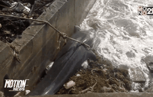 ซากปลาวาฬเกยตื้นเกาะสมุย