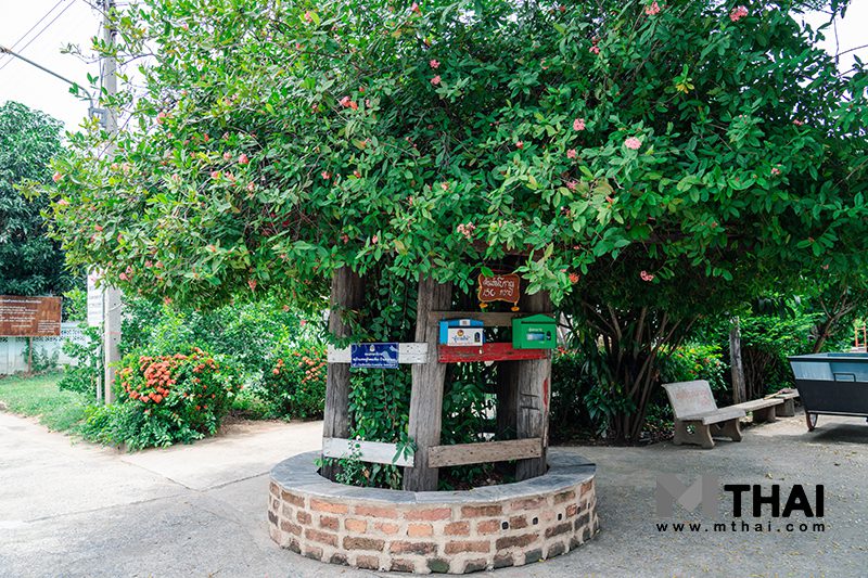 ต้นเข็มโบราณ