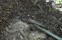 Motion News Break 3 (08-03-59)