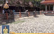 สรุปข่าวรอบวัน 29-04-62