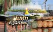 ไม้สักรัฐสภาใหม่ 02-10-61