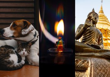 เคล็ดลับเสริมดวง วันอาทิตย์ ที่ 23 เมษายน 2566