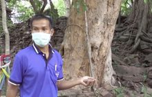 ลือ ! ศิลาอาถรรพ์หยิบจากปราสาทโบราณ 2 พันปี  ไม่กี่วันส่งกลับคืน