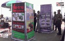 ไซเตสมุกดาหารคุมเข้มค้างาช้าง