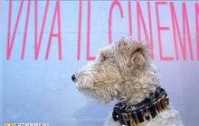 Palm Dog Awards รางวัลแด่เจ้าตูบในเทศกาลหนังเมืองคานส์
