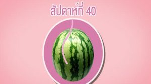 ขนาดทารกในครรภ์ แต่ละสัปดาห์ เทียบเท่า ผลไม้ชนิดไหนบ้างนะ?