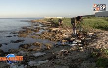 กิจกรรมเก็บขยะริมชายหาดคิวบา