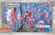 Good Morning Thailand 31-01-59