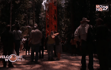 หอคอยสังเกตการณ์โลกร้อนในป่าอะเมซอน