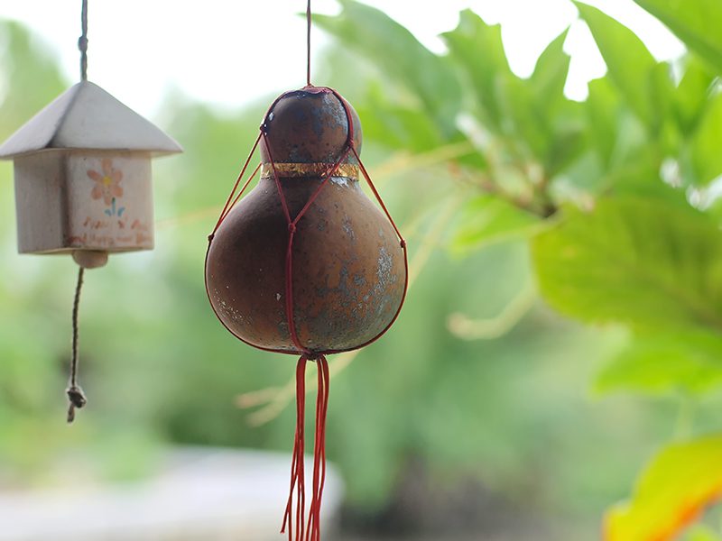 น้ำเต้า