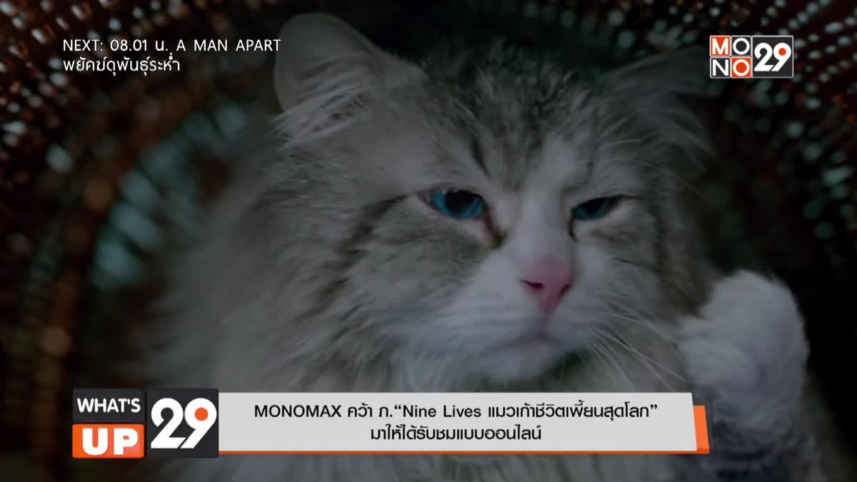 MONOMAX คว้า ภ.“Nine Lives แมวเก้าชีวิตเพี้ยนสุดโลก”  มาให้ได้รับชมแบบออนไลน์