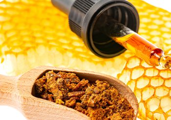ความมหัศจรรย์ของ Propolis – โพรโพลิส กาวผึ้งที่ไม่ได้มีดีแค่ความเหนียว และความหวาน