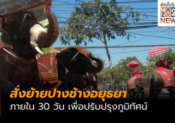 สั่งย้ายปางช้างอยุธยา ออกจากพื้นที่มรดกโลกภายใน 30 วัน เพื่อปรับปรุงภูมิทัศน์