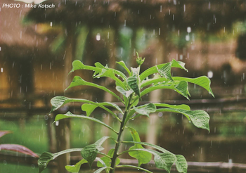 พยากรณ์อากาศ 4 ม.ค. 2563 – เหนือ มีฝนฟ้าคะนอง ลมกระโชกแรง / อ่าวไทยคลื่นลมแรง