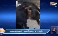 สาวโพสต์แช่งคนใจบาปต้มน้ำร้อนราดสุนัขบาดเจ็บ