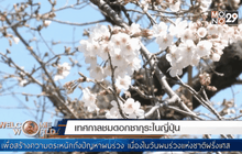 Welcome World Weekend 27-03-59