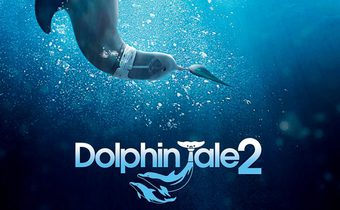 Dolphin Tale 2 มหัศจรรย์โลมาหัวใจนักสู้ 2