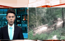 ปราบขบวนการมอดไม้อุทยานแห่งชาติห้วยน้ำดัง